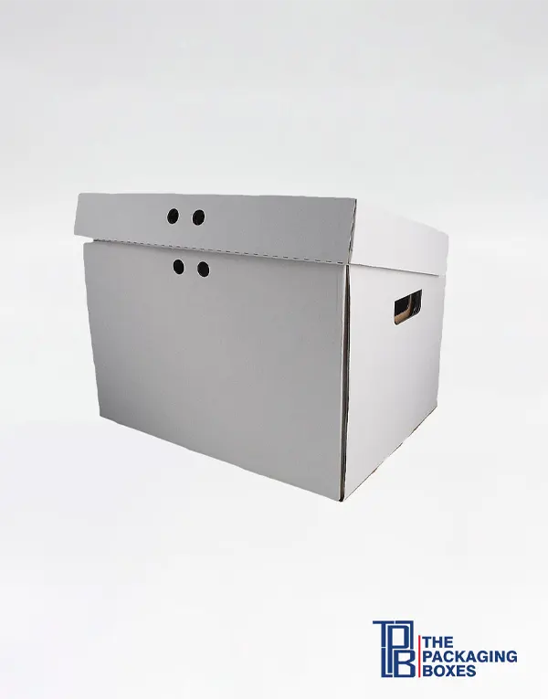 archievebox4 Custom Archive Boxes